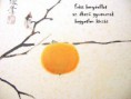 /album/egyeb-haikuk/kegyetlen-kinzas-jpg/